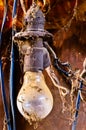 Old dusty light bulb Royalty Free Stock Photo