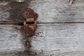 Old dusty rustic hinge on hinge box on grunge texture background. Antique Wooden Chest