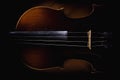 Old Dusty Violin Details Royalty Free Stock Photo