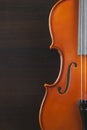 Old and dusty violin Royalty Free Stock Photo