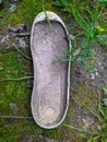 old and dusty white sole from shoes in the woods top view Royalty Free Stock Photo