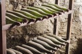 Old dusty wine bottles in the dark cellar