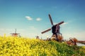 Old Dutch windmills spring from the canal in Rotterdam. Holland