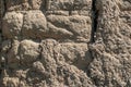 Old earthen bricks wall texture on daylight outside Royalty Free Stock Photo