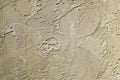 Old ecru plaster on wall closeup Royalty Free Stock Photo