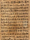 Old egyptian manuscripts and texts , parchment