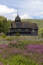 The old Eidsborg Stave Church in Tokke, Vestfold and Telemark county, Norway Royalty Free Stock Photo