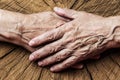 Old elderly hands and old tree Royalty Free Stock Photo