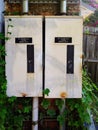 Old Electric Breaker Boxes and Ivy Vines. Royalty Free Stock Photo