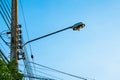 An old electric wooden pole with a lamp and electricity cables hanging on. Natural light Royalty Free Stock Photo