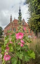 Old renaissance historic building and mallows Royalty Free Stock Photo