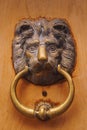 Old elegant metal lion shaped door handle door in Nice, France
