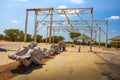 Old elephant abattoir at the Olifantsrus Camp in Etosha National Park, Namibia