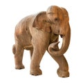 Old elephant model on isolated background