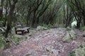 Old empty bench on a trail in a dense forest