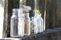 Old empty bottles on fence. Bottles with dry field flowers