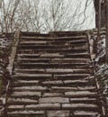 Empty damaged broken stone stairs surrounded by dry leafless trees