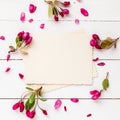 Old empty photo for the inside and frame of apple flowers Royalty Free Stock Photo
