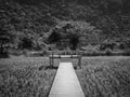 Old empty white wooden bridge heading to the empty lonely balcony over the wheat field with mountain background.