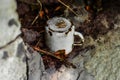 Old enameled cup in a forgotten place Royalty Free Stock Photo