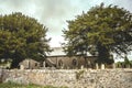 Old English churchyard and giant tree Landscape