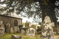 Old English churchyard and giant tree Landscape