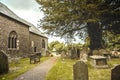 Old English churchyard and giant tree Landscape