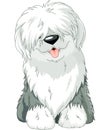 Old English Sheepdog Royalty Free Stock Photo