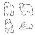 Old English Sheepdog Animal Vector Illustration Hand Drawn Cartoon Art Royalty Free Stock Photo