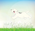 Old English Sheepdog in the dandelion field Royalty Free Stock Photo