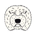 Old English sheepdog cartoon dog illustration Royalty Free Stock Photo