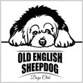 Old English Sheepdog - vector illustration for t-shirt, logo and template badges