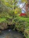 Old English water garden with red Azalea flowering shrub Royalty Free Stock Photo