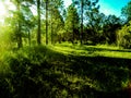 Old entrance to an abandoned field Royalty Free Stock Photo