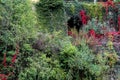 Old entrance of a tunnel in a stone wall covered by plants of different fall colors like shades of red, yellow and green Royalty Free Stock Photo