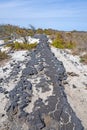 Old Eroded Road on a Barrier Island Royalty Free Stock Photo