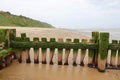 Eroded wooden groyne on sand beach Royalty Free Stock Photo