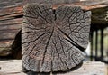 Old eroded wood texture. Aged brown wood background. Cracked wood natural texture Royalty Free Stock Photo