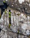 Old erosion marks in bedrock texture