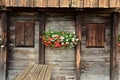 Old European wooden window with shutters and flower Royalty Free Stock Photo
