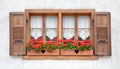 Old European Wooden Windows