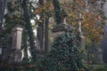 Old Evangelical cemetery in PÃâock in autumn Royalty Free Stock Photo