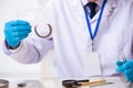 Old male expert criminologist working in the lab for evidence Royalty Free Stock Photo