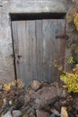 Old exterior door in a ruin house with vegetation Royalty Free Stock Photo