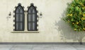 Old facade with mullioned gothic window Royalty Free Stock Photo