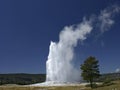 Old Faithful