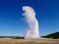 Old Faithful erupting. Yellowstone National Park, Wyoming, USA. Royalty Free Stock Photo