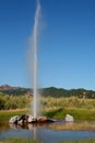 Old faithful geyser