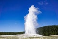 The Old Faithful geyser erupting, Yellowstone National Park Royalty Free Stock Photo