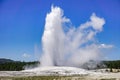 The Old Faithful geyser erupting, Yellowstone National Park Royalty Free Stock Photo